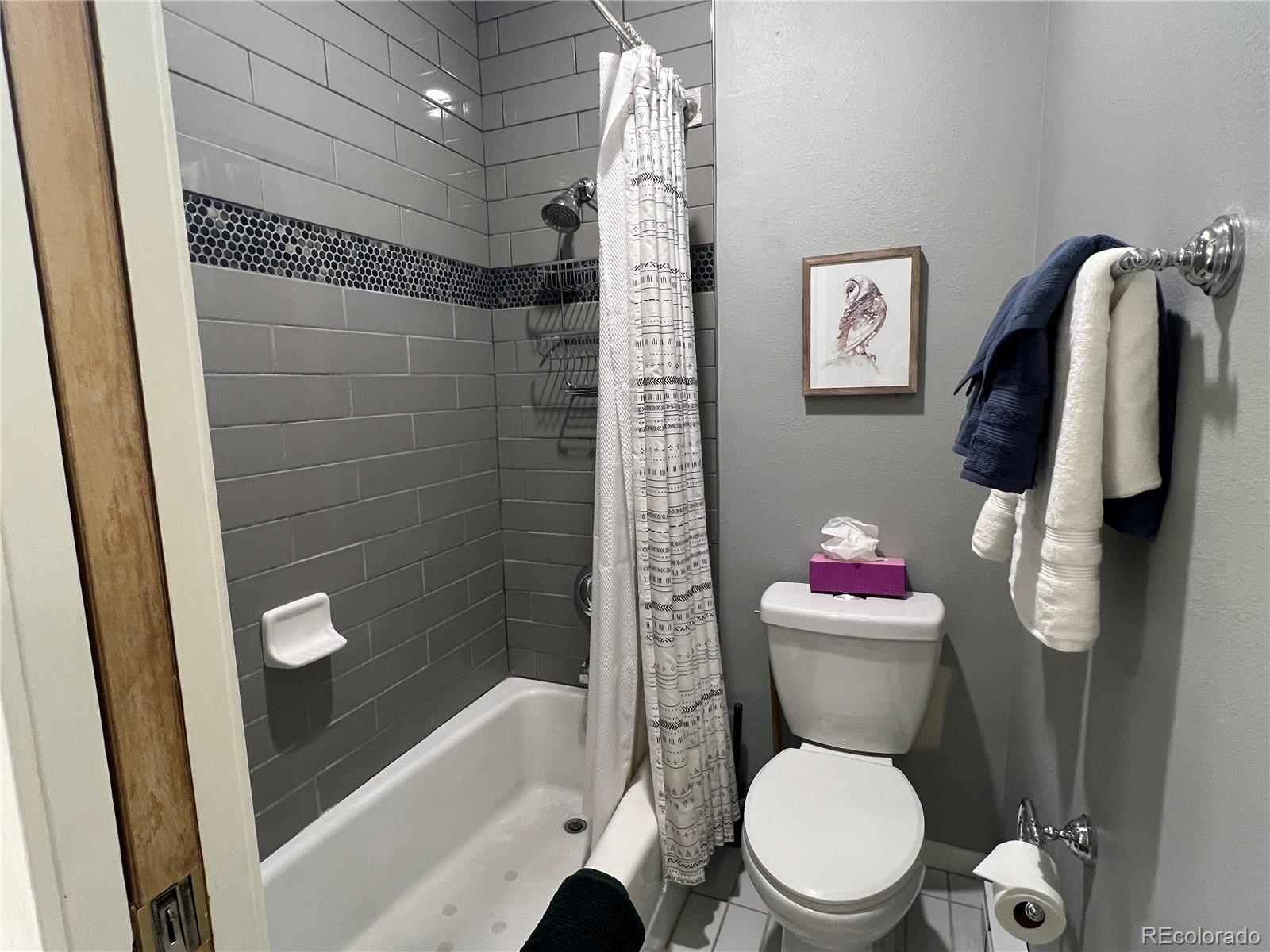 MLS Image #18 for 63  guyot lane,dillon, Colorado