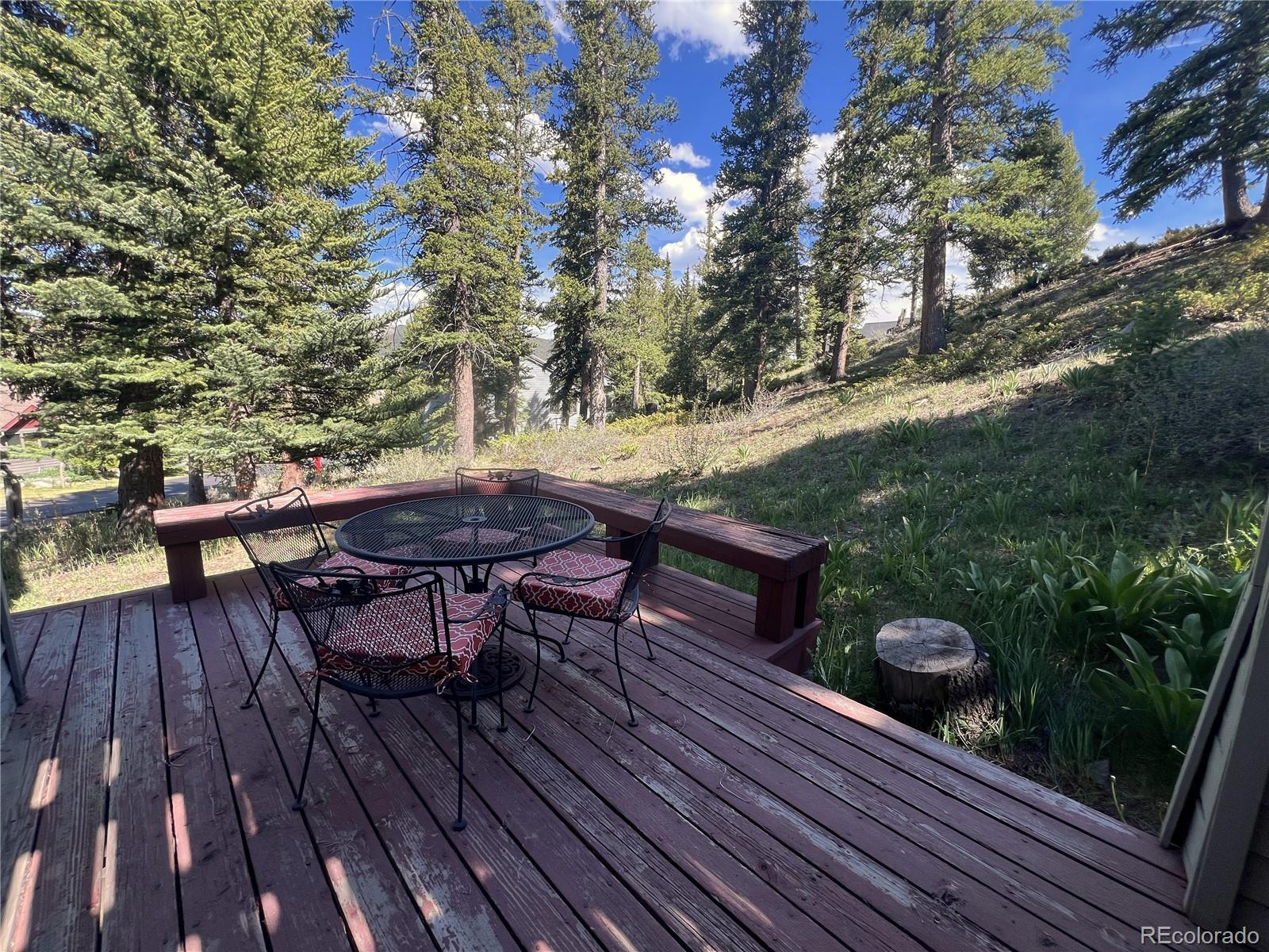 MLS Image #21 for 63  guyot lane,dillon, Colorado
