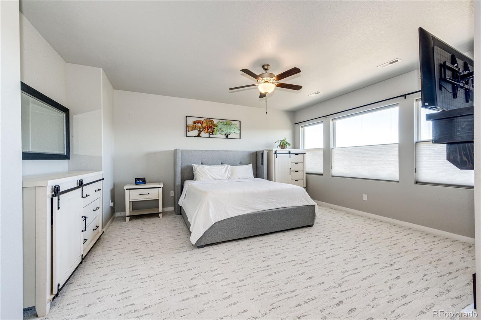 MLS Image #24 for 2058  walnut creek court,colorado springs, Colorado