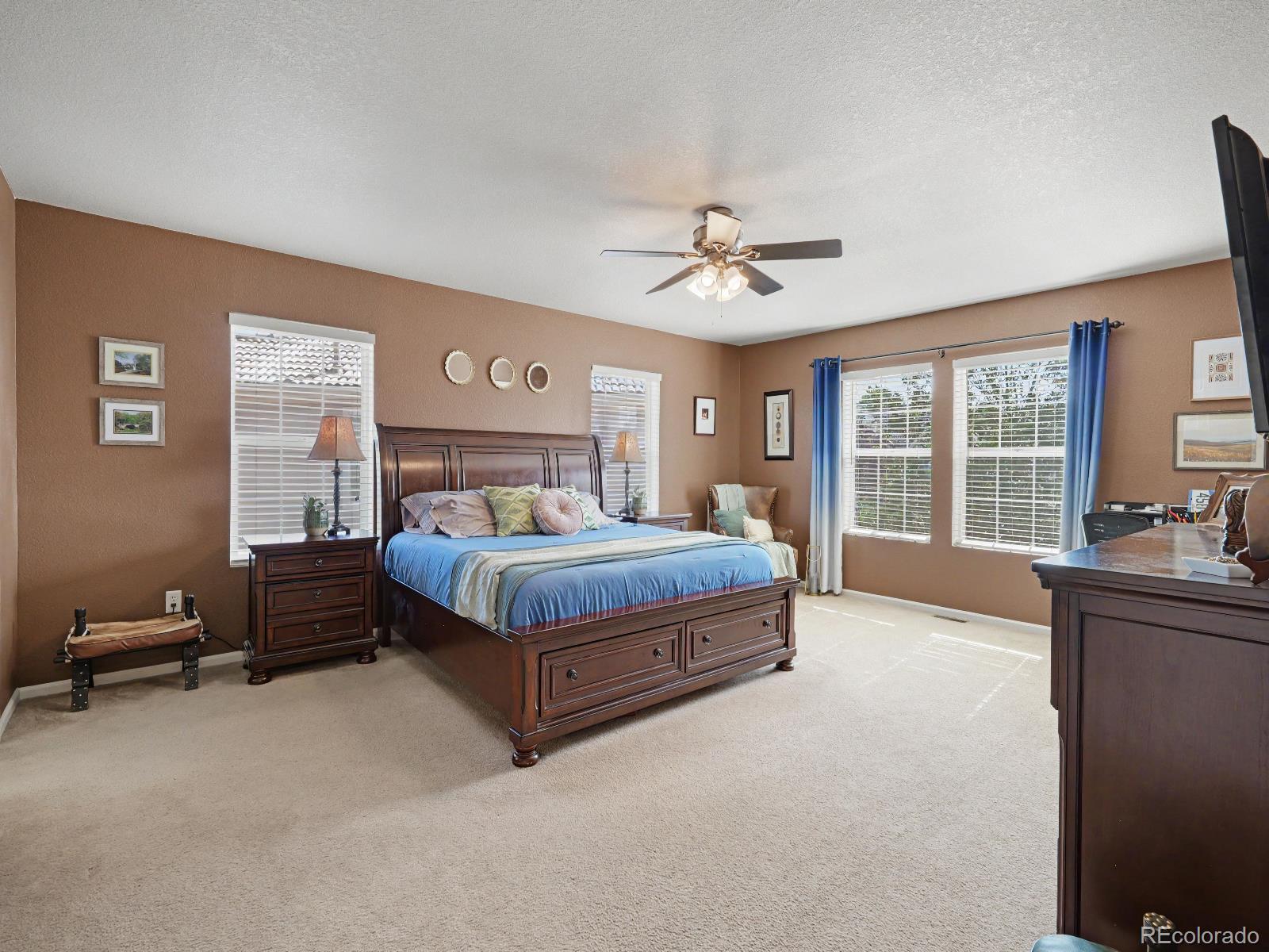 MLS Image #14 for 1752  hogan court,castle rock, Colorado