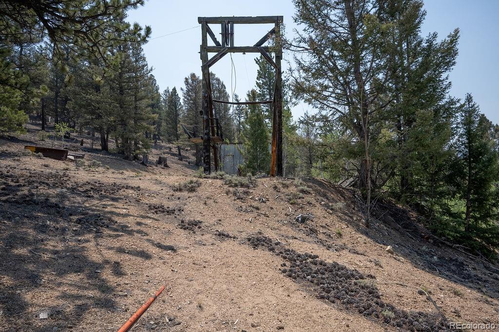 MLS Image #10 for 3029  yankee blade ,granite, Colorado
