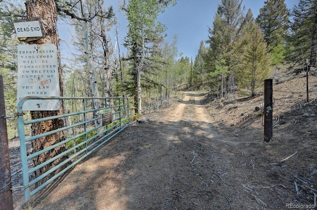 MLS Image #13 for 3029  yankee blade ,granite, Colorado