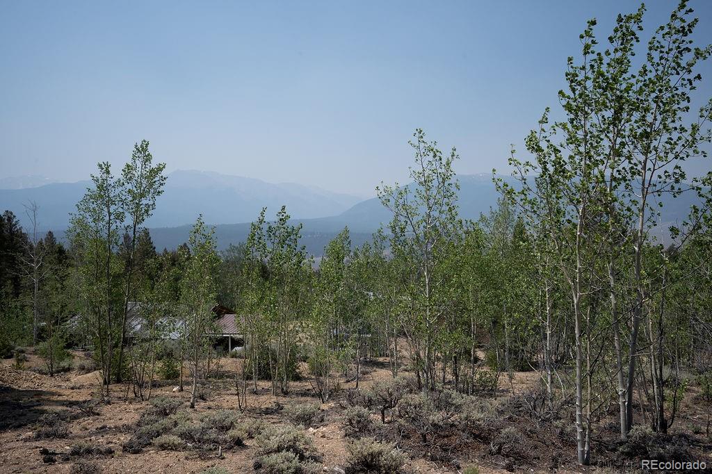 MLS Image #14 for 3029  yankee blade ,granite, Colorado