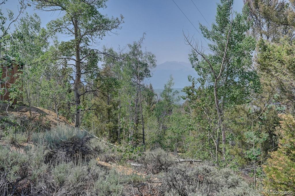 MLS Image #16 for 3029  yankee blade ,granite, Colorado