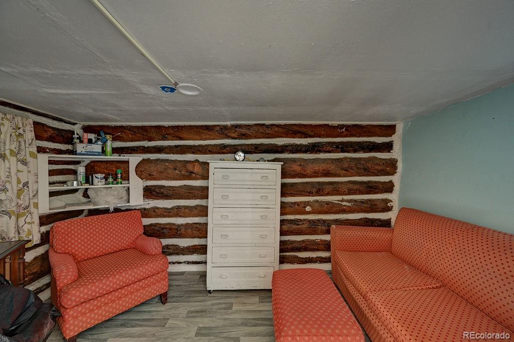 MLS Image #4 for 3029  yankee blade ,granite, Colorado