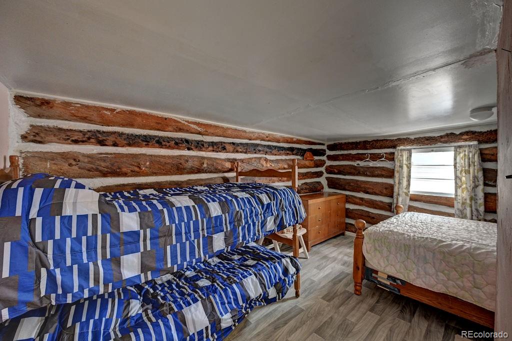 MLS Image #5 for 3029  yankee blade ,granite, Colorado