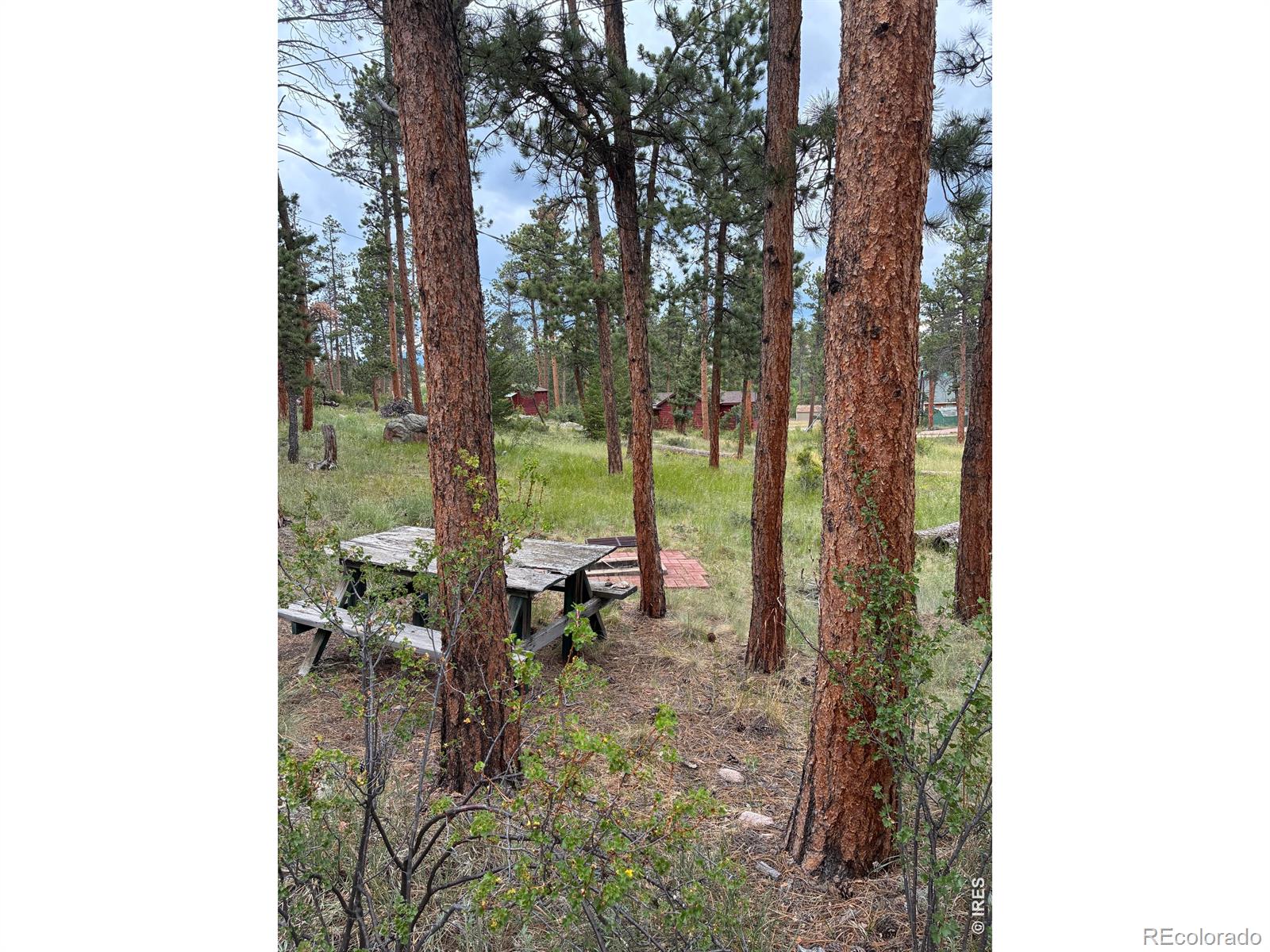 MLS Image #16 for 79  alpine lane,red feather lakes, Colorado