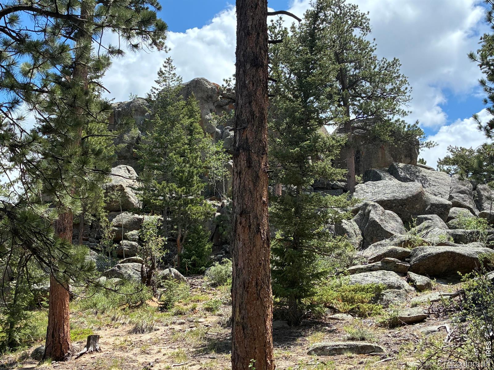 MLS Image #17 for 79  alpine lane,red feather lakes, Colorado