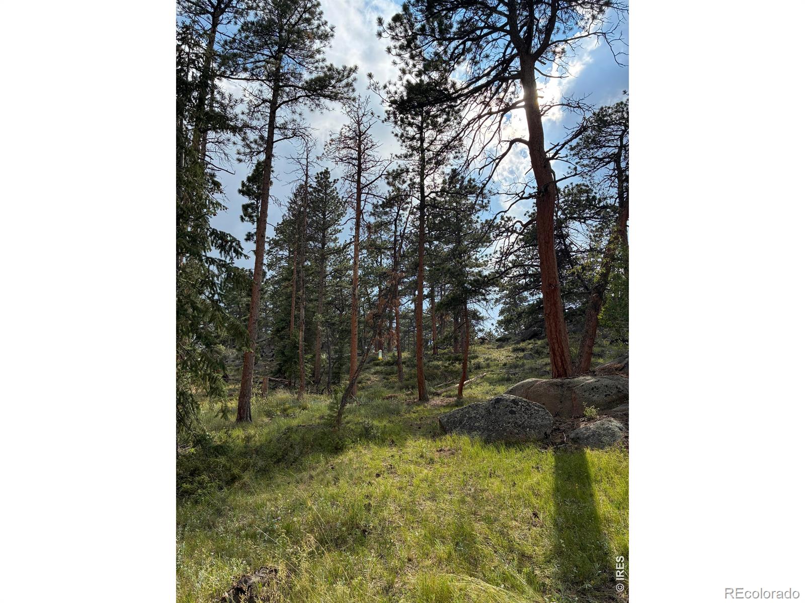 MLS Image #20 for 79  alpine lane,red feather lakes, Colorado