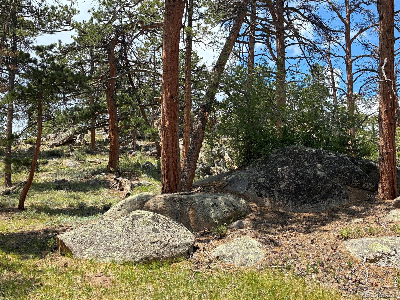MLS Image #8 for 79  alpine lane,red feather lakes, Colorado