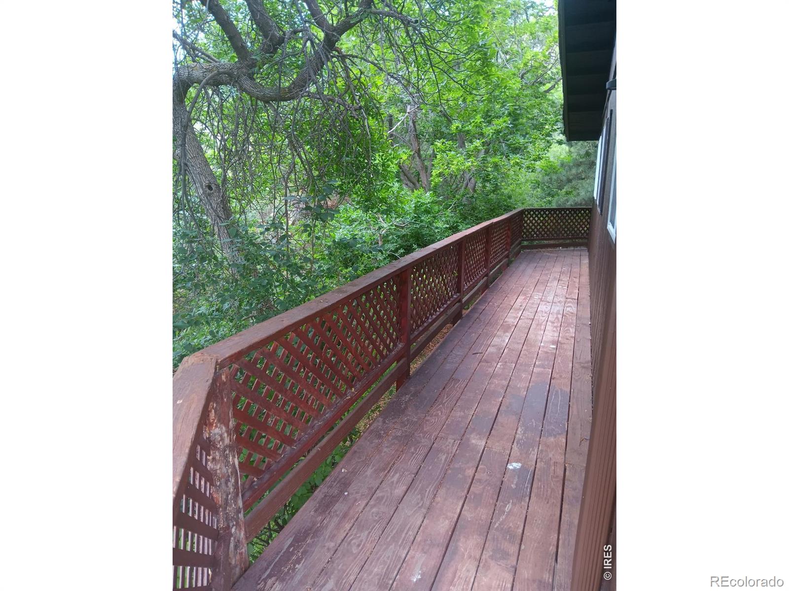MLS Image #34 for 5036  deer run lane,fort collins, Colorado