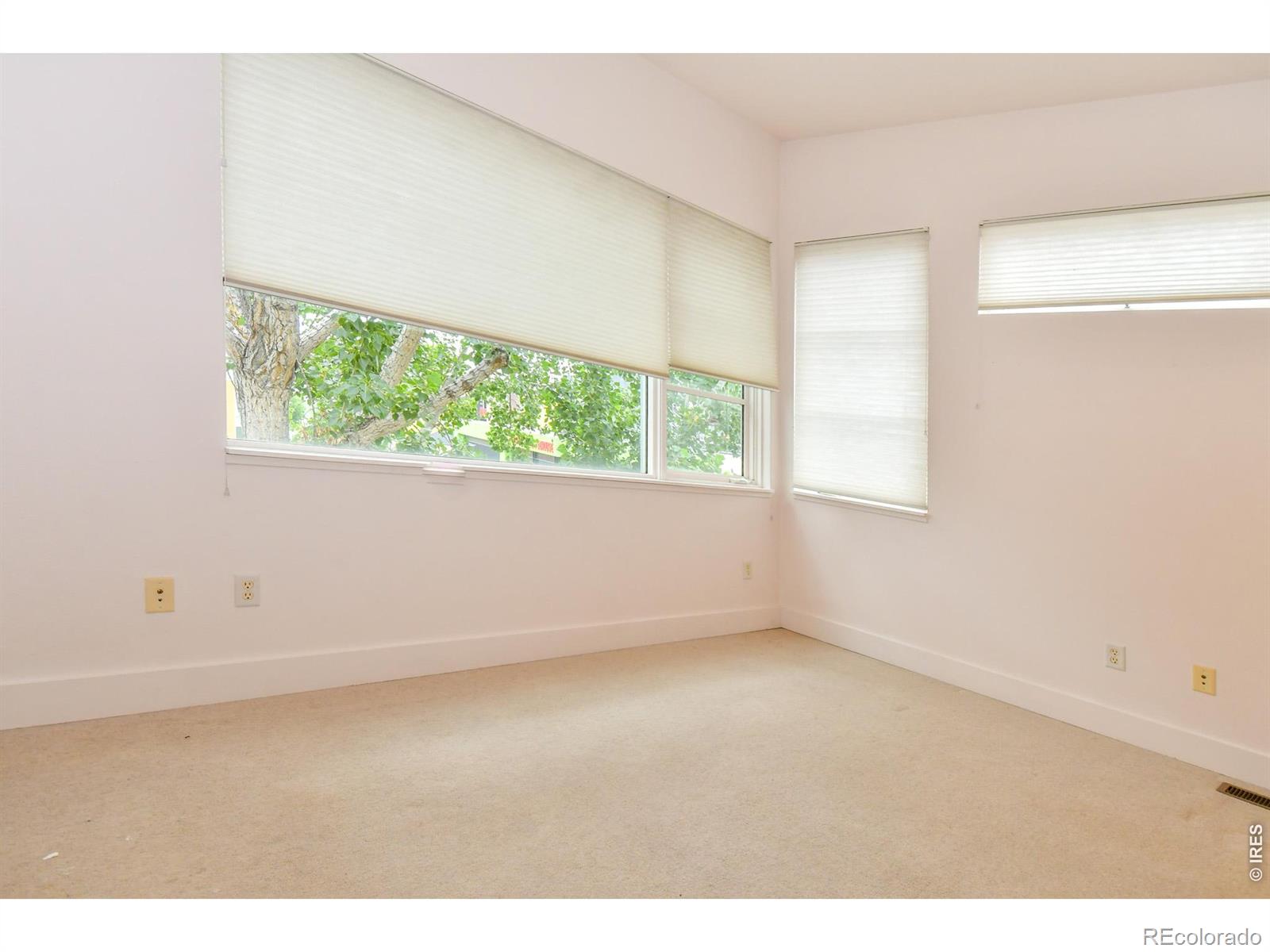 MLS Image #18 for 2017  100 year party court,longmont, Colorado