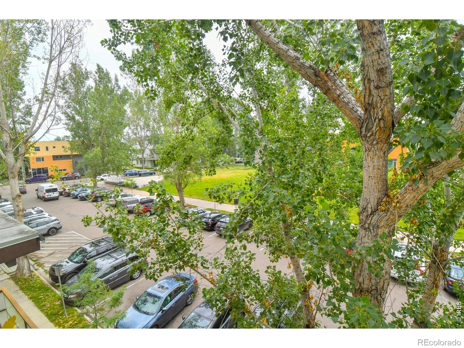 MLS Image #26 for 2017  100 year party court,longmont, Colorado