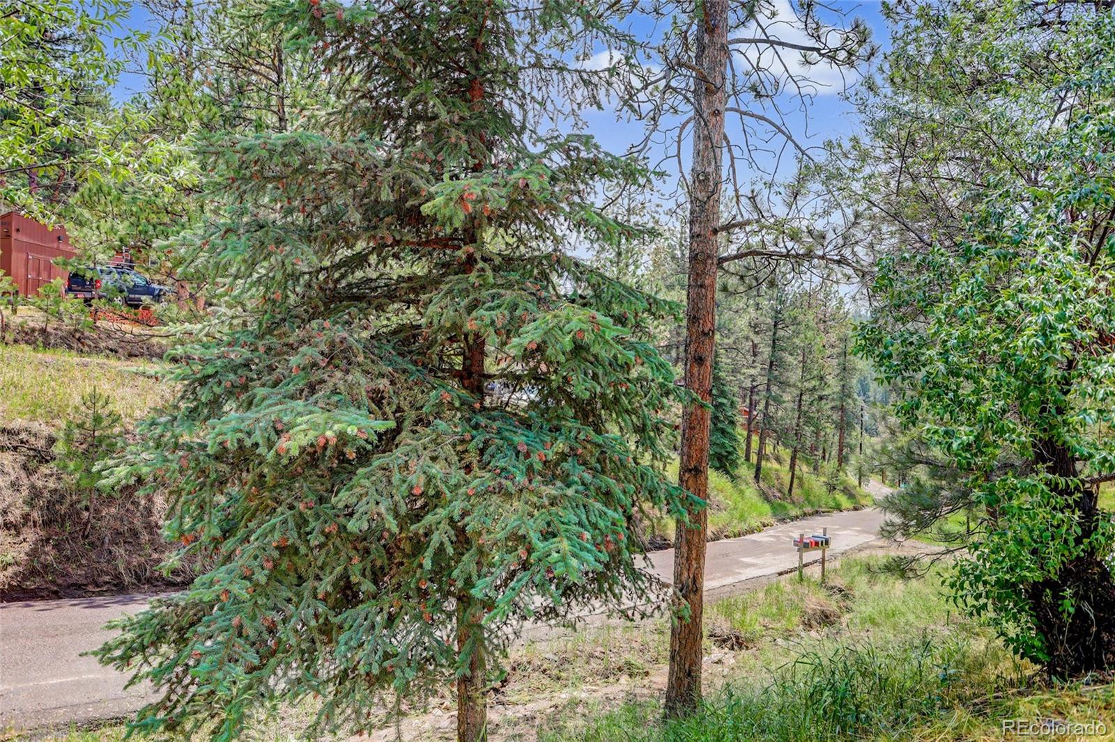MLS Image #36 for 27535  mountain park road,evergreen, Colorado
