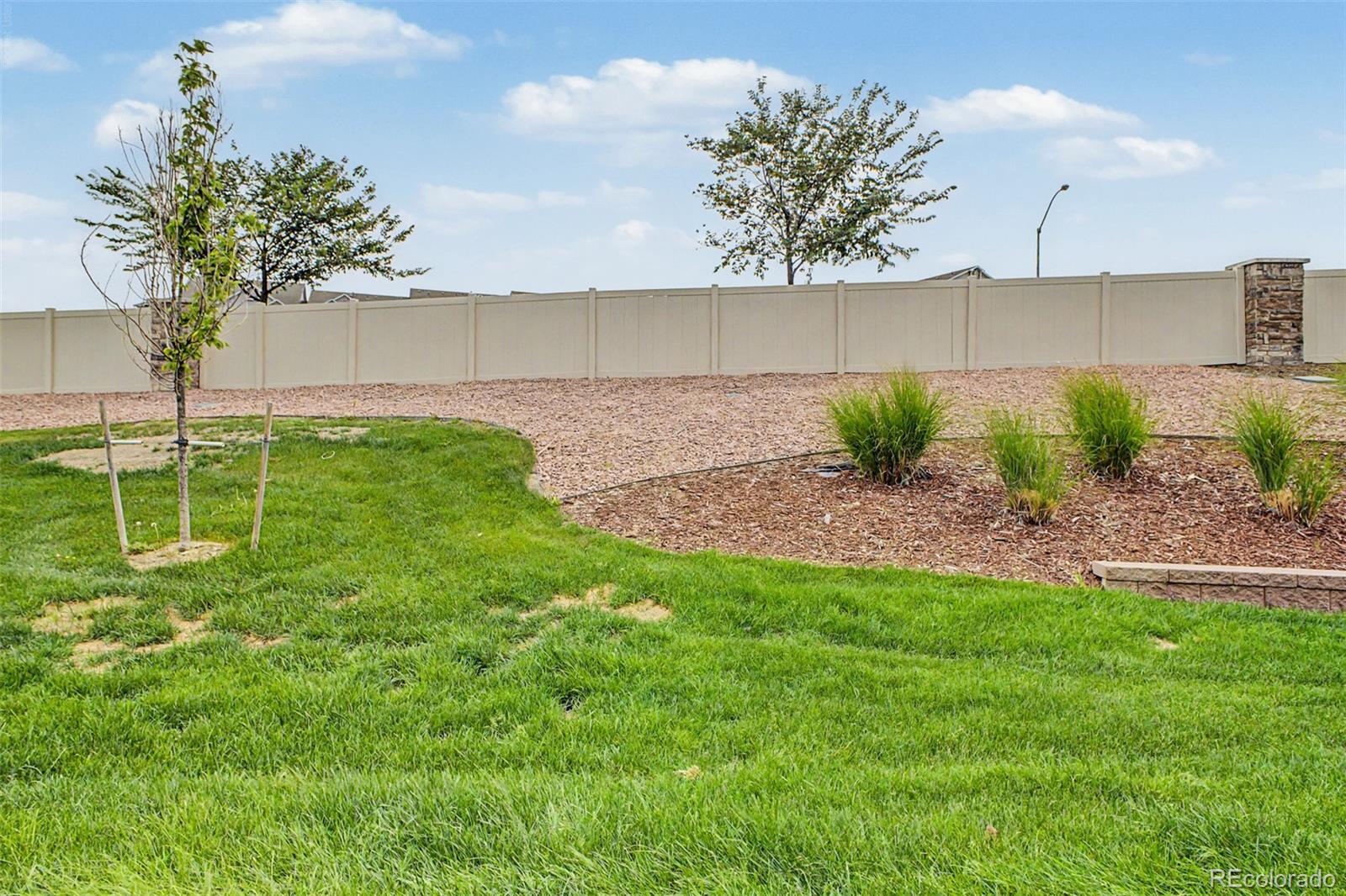 MLS Image #30 for 9729  albion lane,denver, Colorado