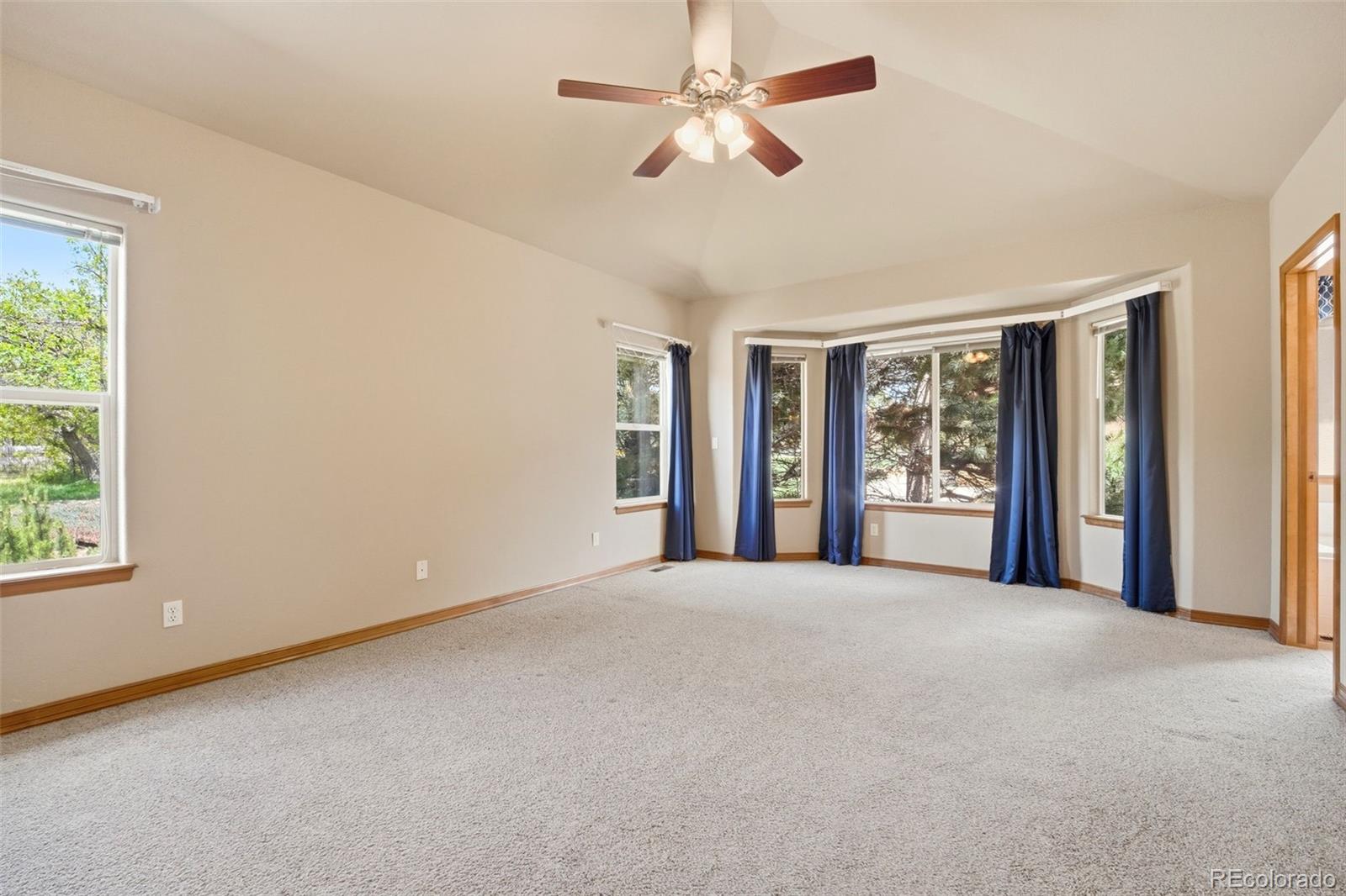 MLS Image #11 for 1630  oakmont drive,colorado springs, Colorado