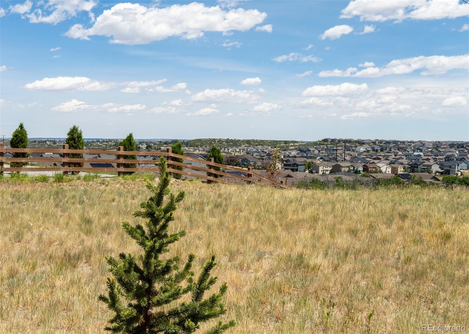 MLS Image #3 for 465  silver rock trail,castle rock, Colorado
