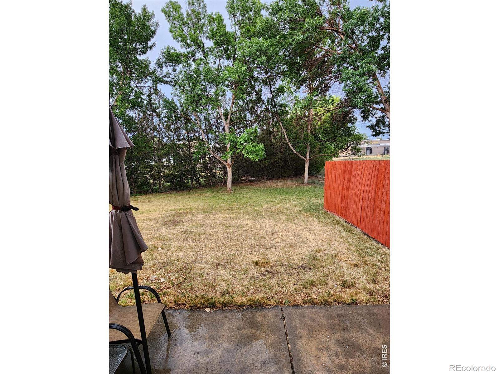 MLS Image #14 for 404  mulberry drive,loveland, Colorado