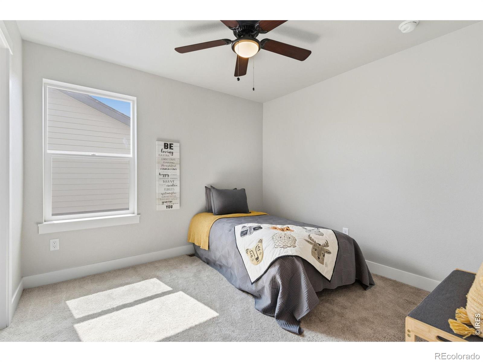 MLS Image #19 for 6071  goodnight avenue,timnath, Colorado