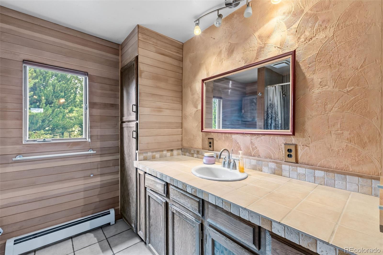MLS Image #10 for 137  b road,silverthorne, Colorado
