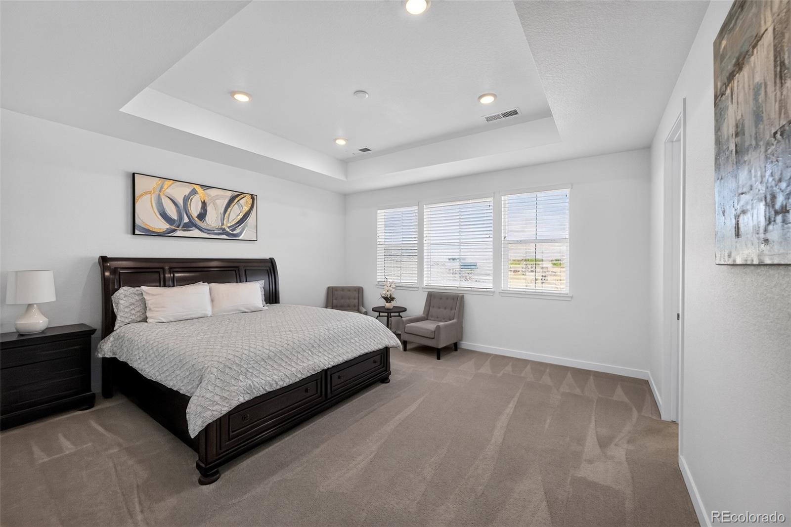 MLS Image #10 for 14831  dahlia way,thornton, Colorado