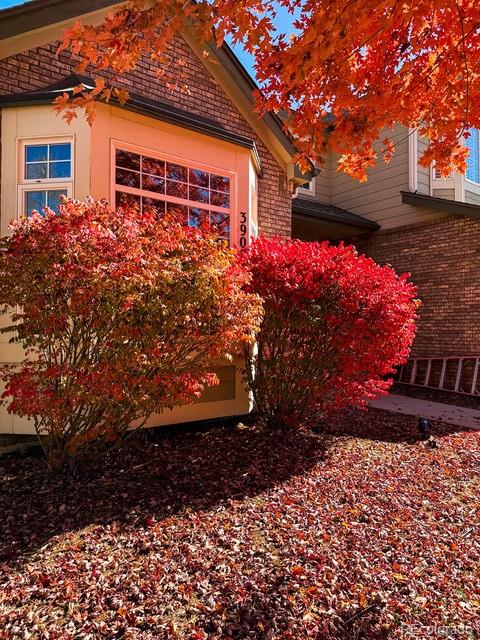 MLS Image #12 for 3902  grand canyon street,fort collins, Colorado