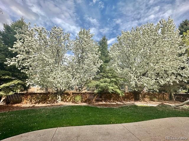 MLS Image #13 for 3902  grand canyon street,fort collins, Colorado