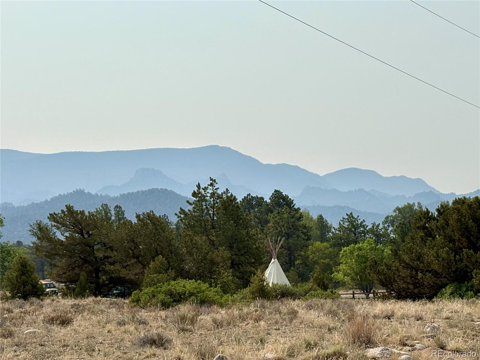 MLS Image #3 for 10795  county road 197a ,nathrop, Colorado