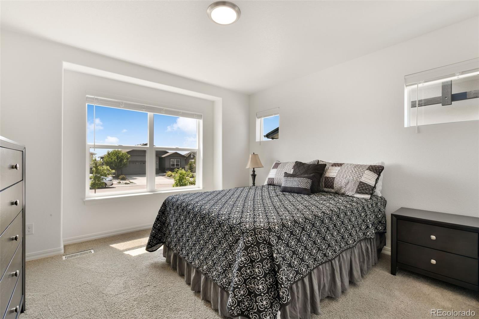 MLS Image #26 for 8071  gilpin peak drive,colorado springs, Colorado