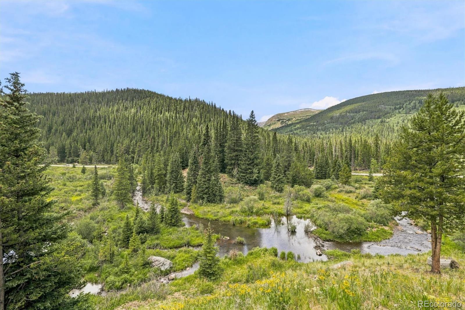 MLS Image #29 for 341  quandary road,breckenridge, Colorado