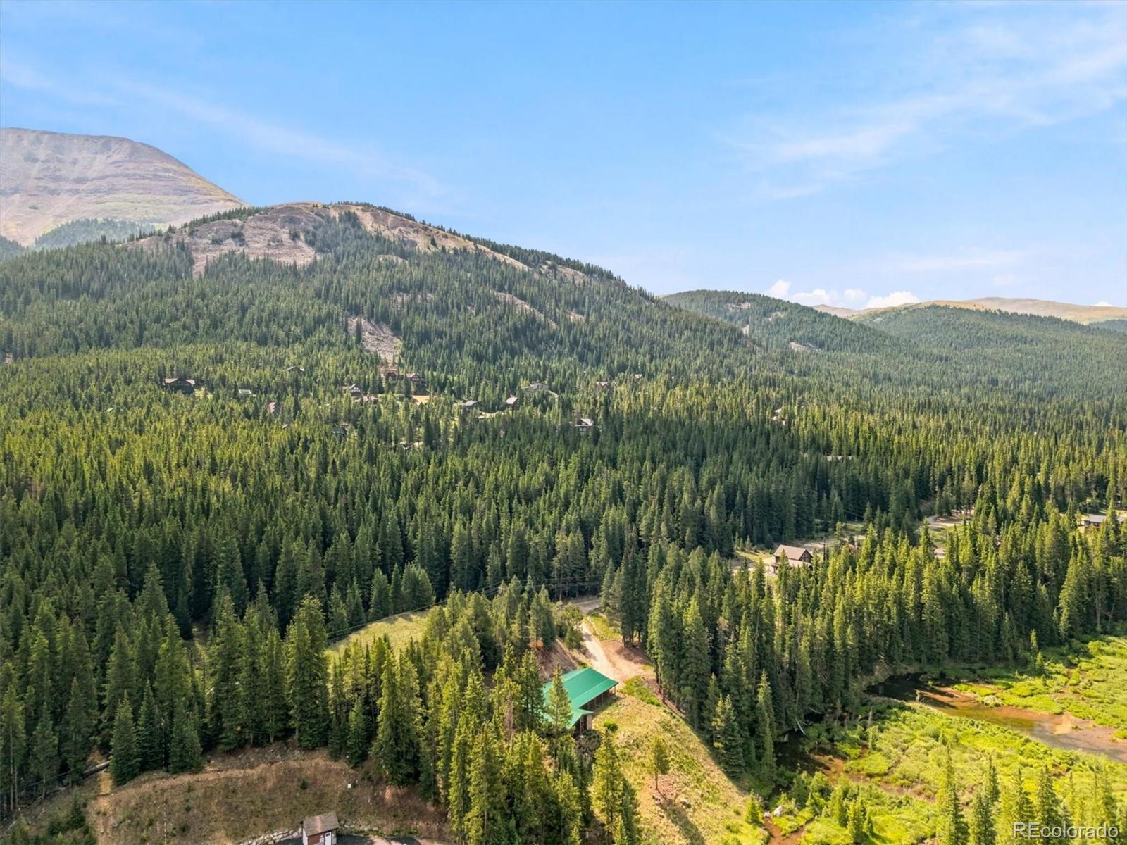 MLS Image #32 for 341  quandary road,breckenridge, Colorado