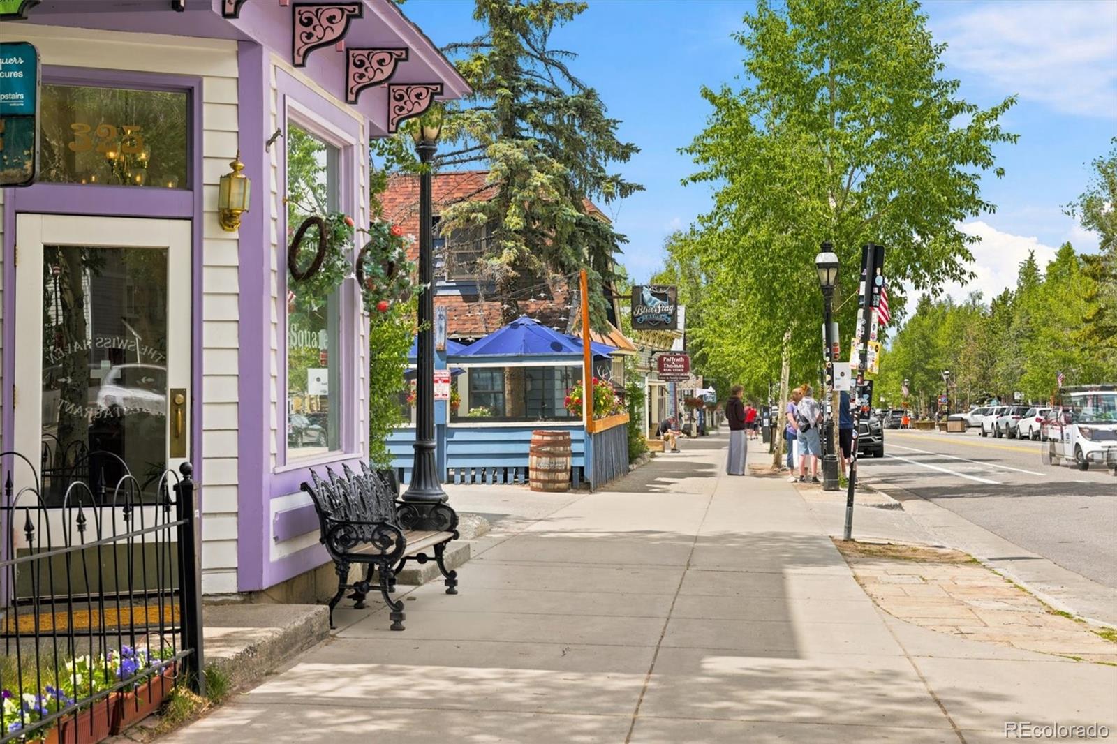 MLS Image #39 for 341  quandary road,breckenridge, Colorado