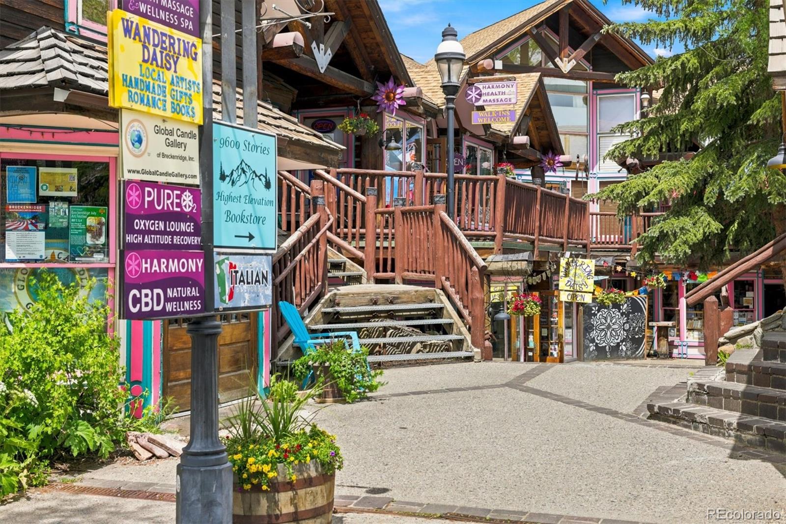 MLS Image #40 for 341  quandary road,breckenridge, Colorado