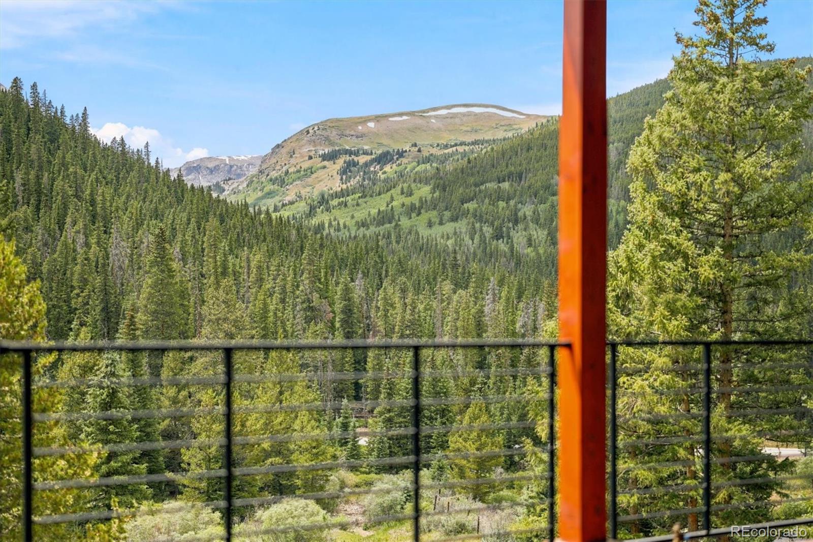 MLS Image #6 for 341  quandary road,breckenridge, Colorado