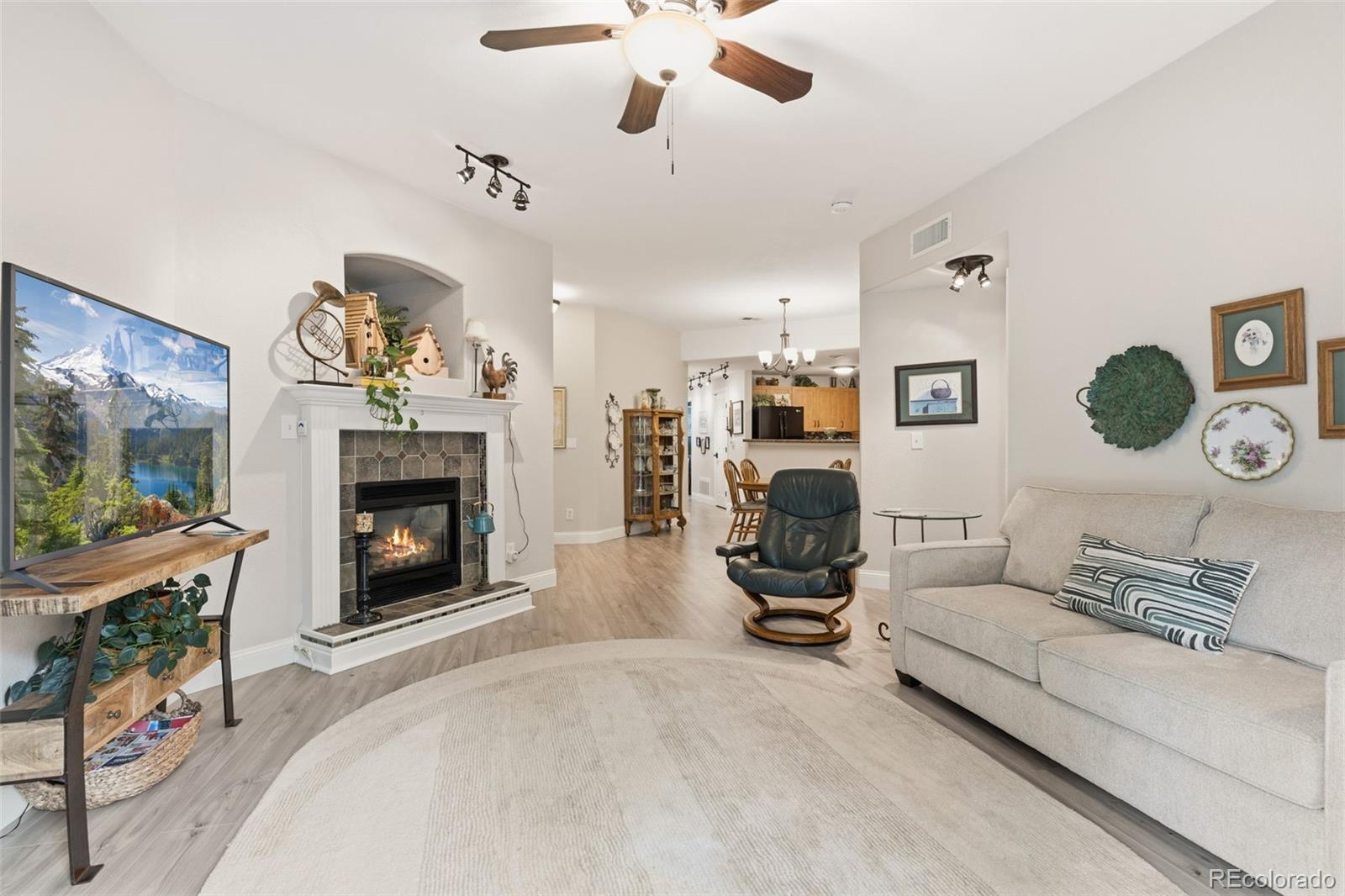 MLS Image #7 for 8737 e dry creek road,centennial, Colorado