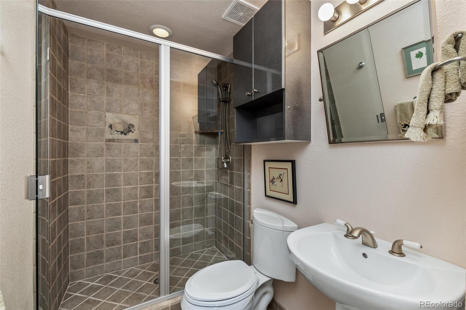 MLS Image #20 for 1744  falcon drive,silverthorne, Colorado
