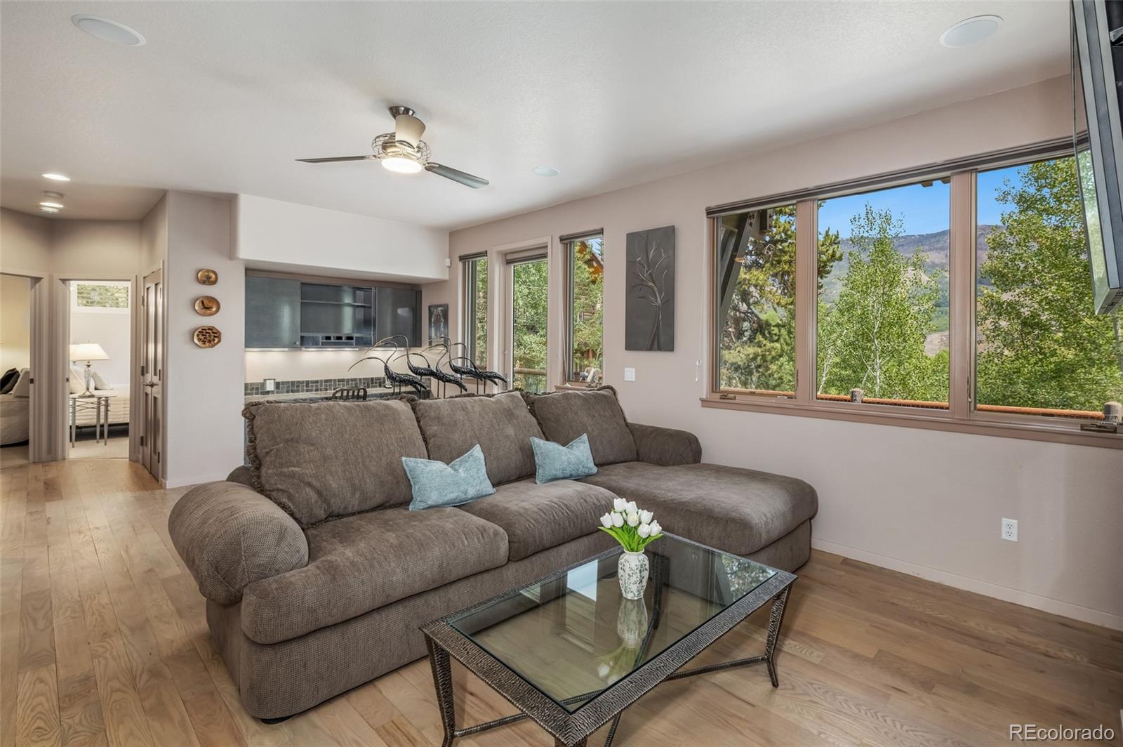 MLS Image #27 for 1744  falcon drive,silverthorne, Colorado