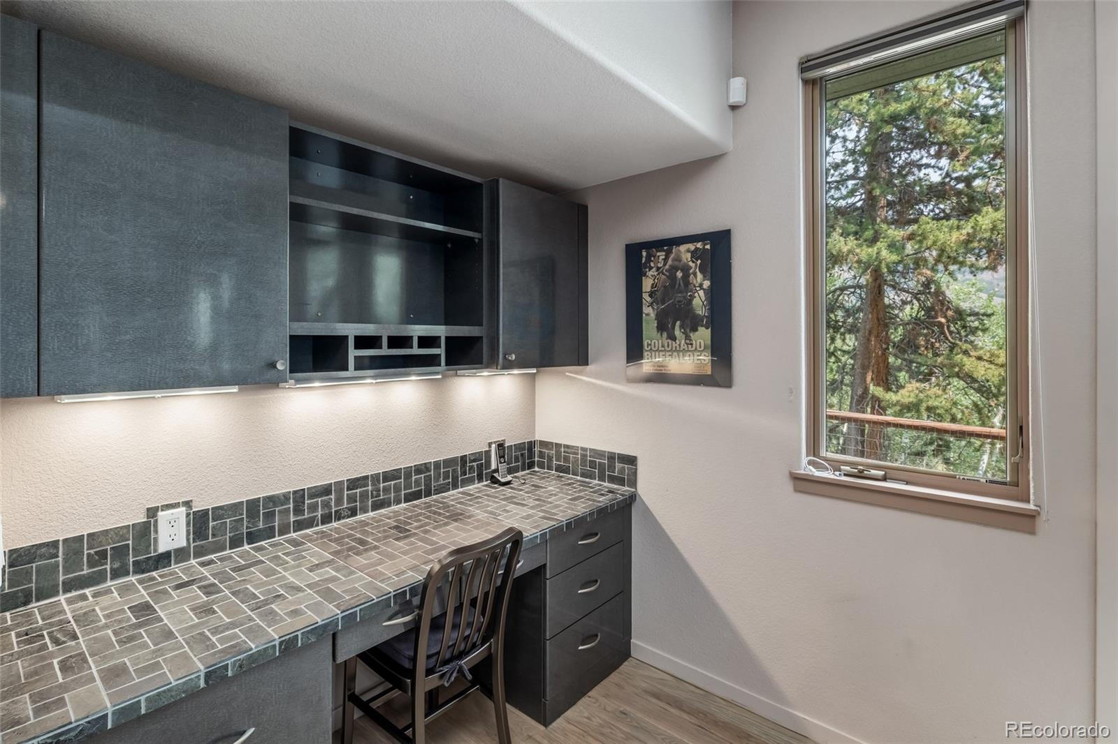 MLS Image #29 for 1744  falcon drive,silverthorne, Colorado