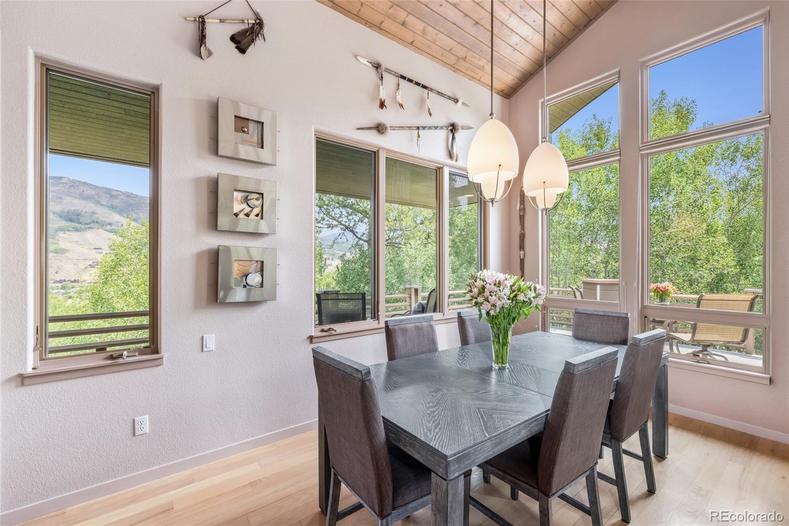 MLS Image #7 for 1744  falcon drive,silverthorne, Colorado