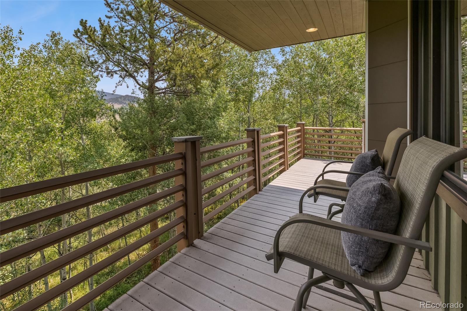 MLS Image #9 for 1744  falcon drive,silverthorne, Colorado