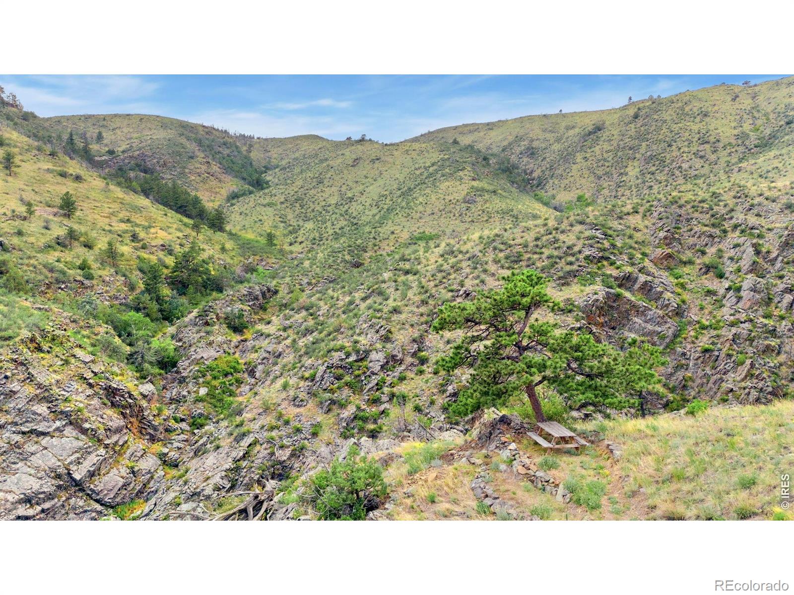 MLS Image #49 for 10828  bears lair road,loveland, Colorado