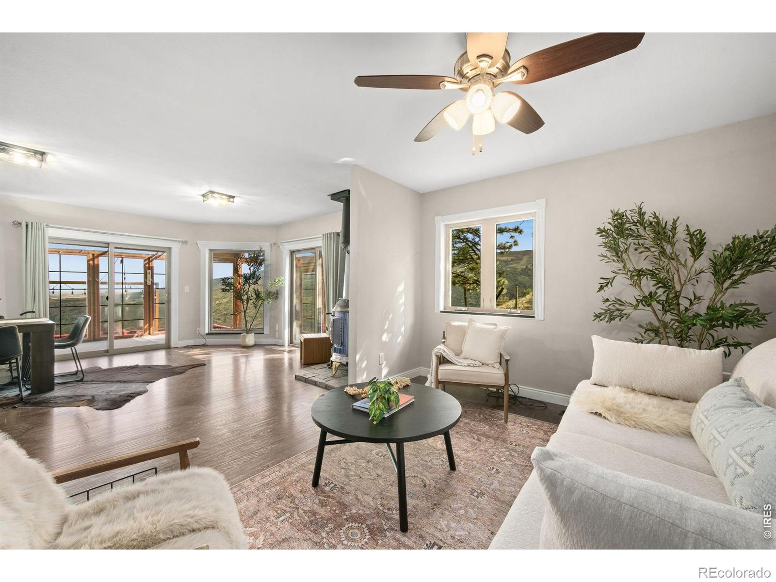 MLS Image #7 for 10828  bears lair road,loveland, Colorado