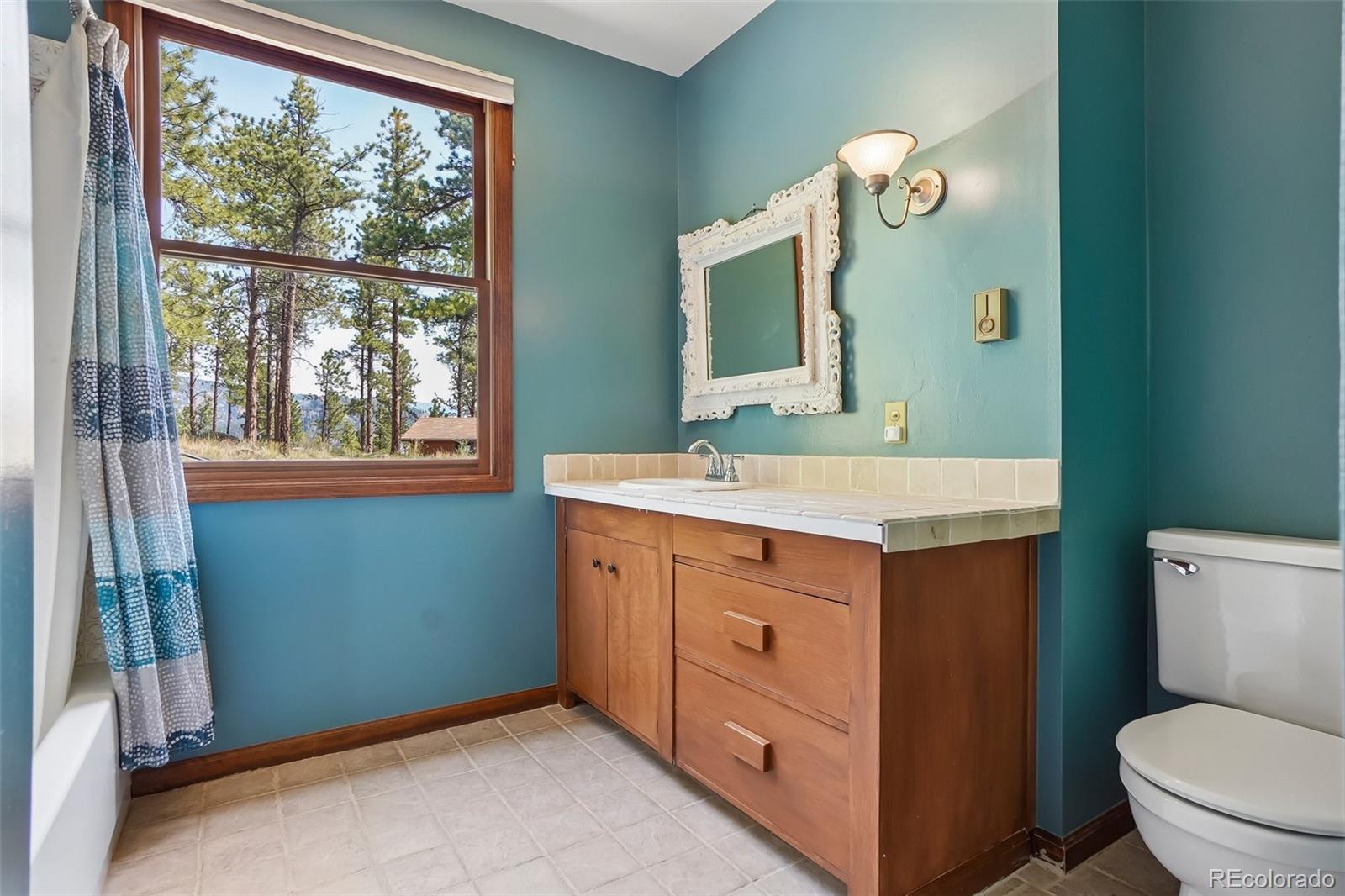 MLS Image #23 for 5235  county road 72 ,bailey, Colorado