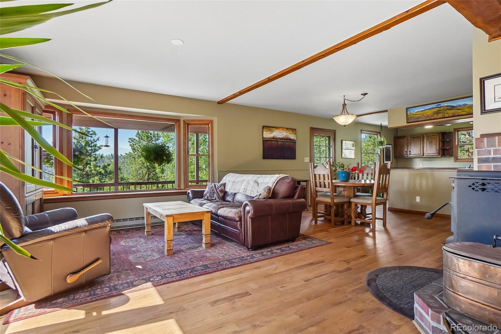 MLS Image #7 for 5235  county road 72 ,bailey, Colorado