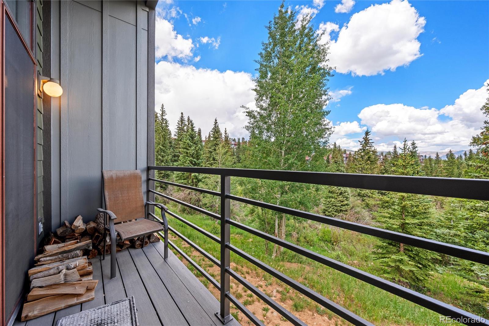 MLS Image #12 for 10000  ryan gulch road,silverthorne, Colorado