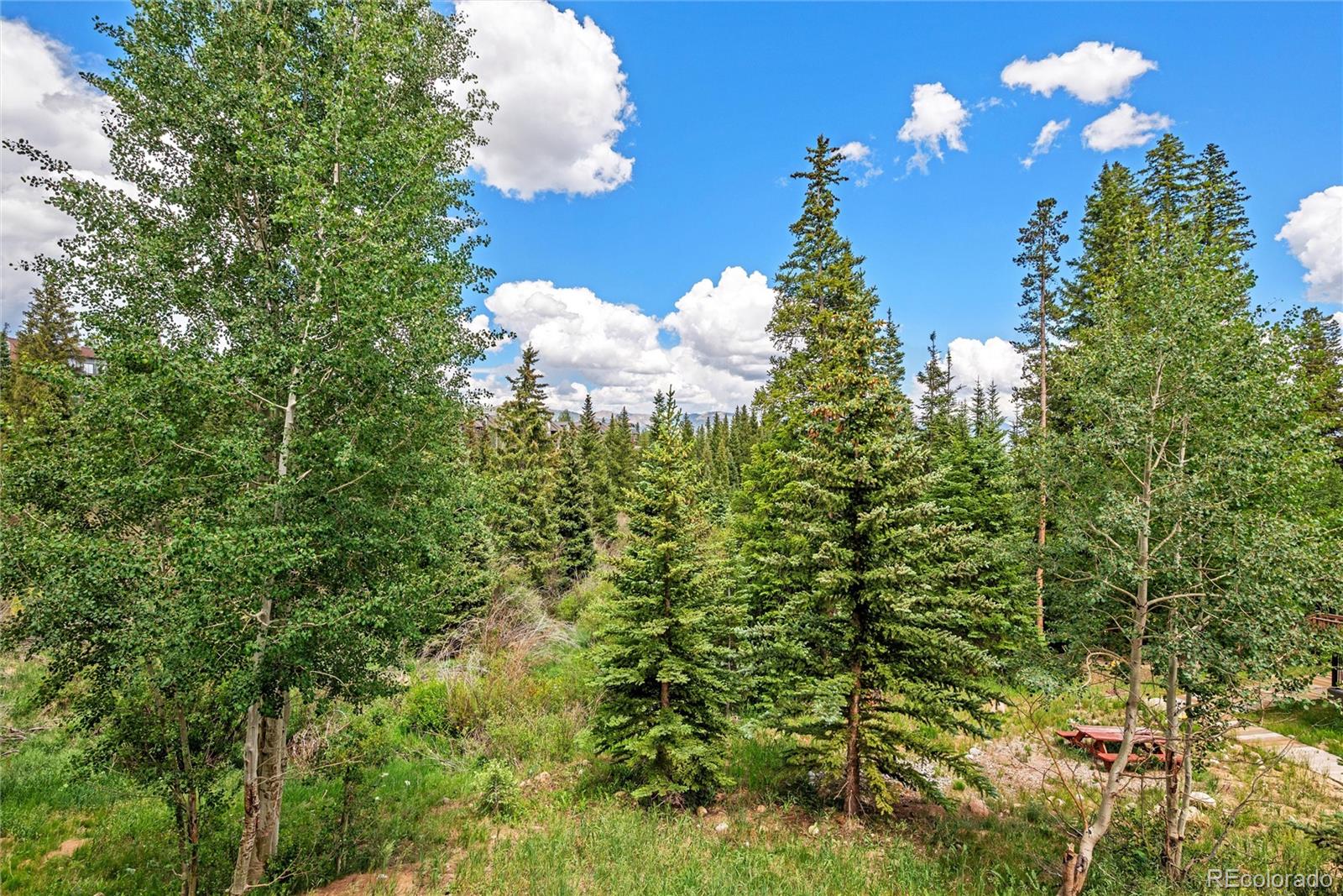 MLS Image #13 for 10000  ryan gulch road,silverthorne, Colorado