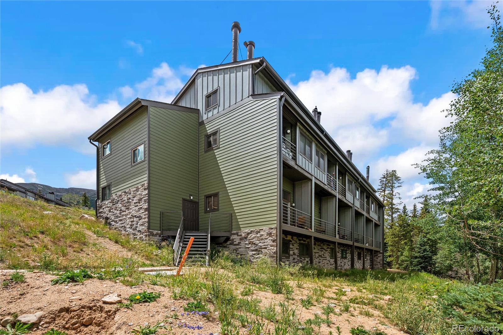 MLS Image #16 for 10000  ryan gulch road,silverthorne, Colorado