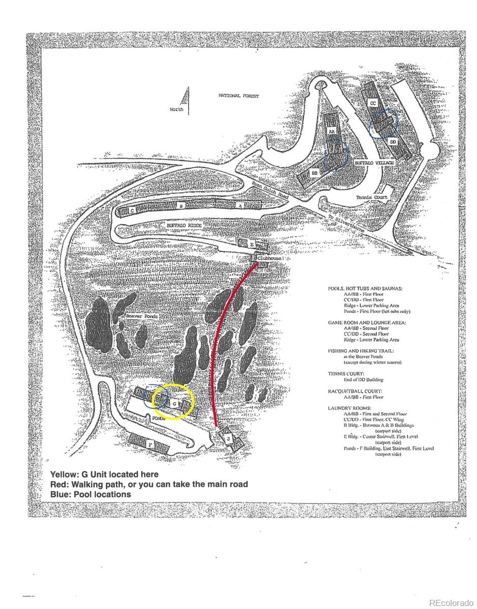 MLS Image #17 for 10000  ryan gulch road,silverthorne, Colorado
