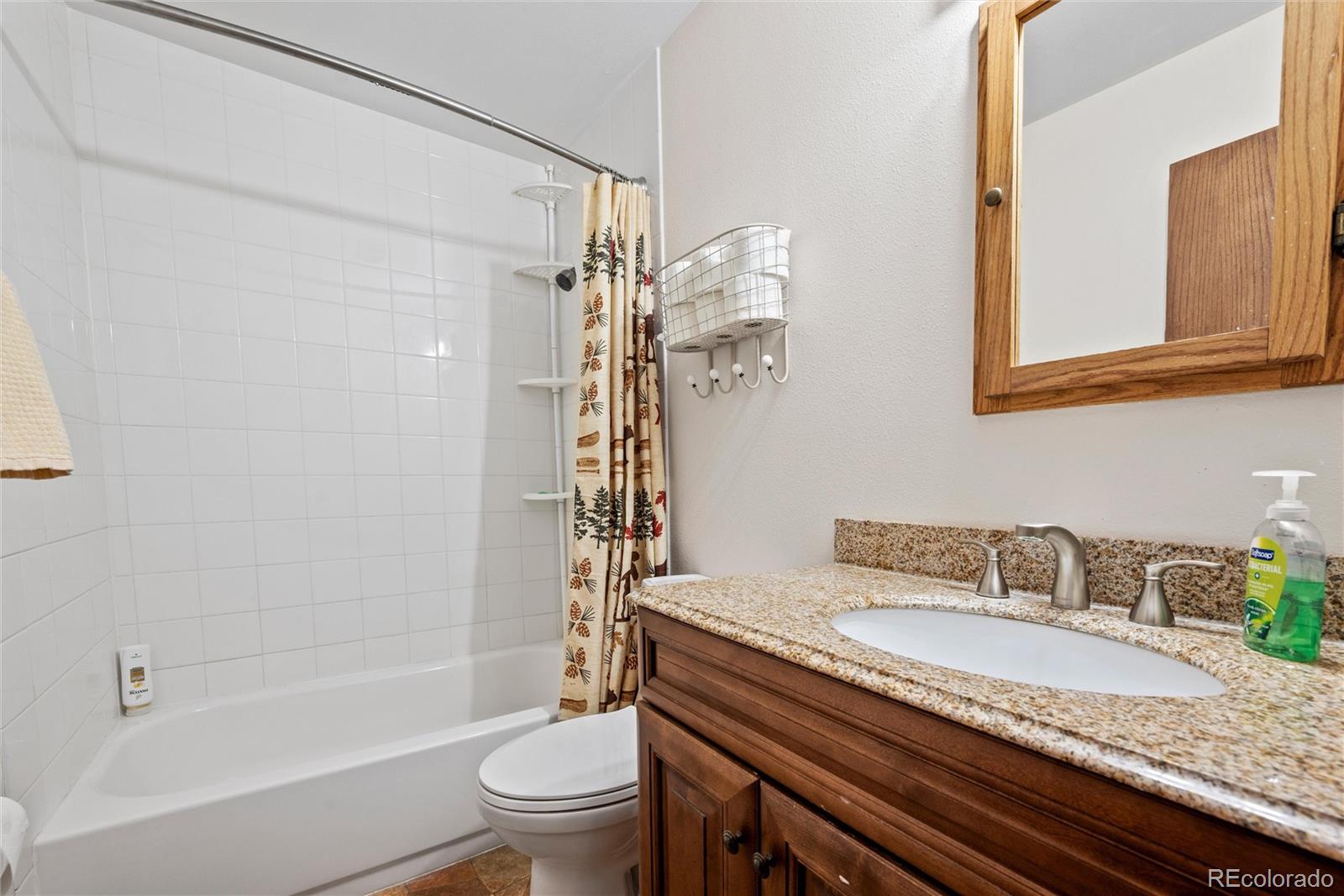 MLS Image #4 for 10000  ryan gulch road,silverthorne, Colorado