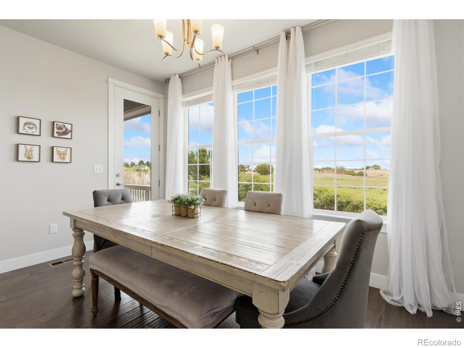 MLS Image #14 for 270  mt harvard avenue,severance, Colorado